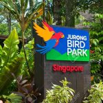 2 tempat wisata menarik yang harus di kunjungi ketika berliburan ke Singapura dengan keluarga kecil anda