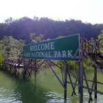 Fasilitas Lengkap Taman Nasional Bako yang Wajib Coba Dikunjungi