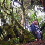 Menikmati Keajaiban Alam Malaysia di Mossy Forest