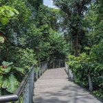 Pilihan Destinasi Wisata Alam yang Ada di Singapura