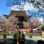 Nikmati Hiking Sambil Memetik Bunga Sakura di Yoshino, Nara