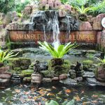 Melihat Aneka Fauna Eksotis di Taman Burung Kuala Lumpur