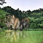 Mengenal Lebih Dekat Bukit Timah Nature Reserve, Salah Satu Cagar Alam Terbaik di Singapura