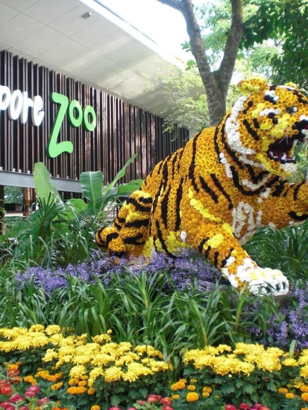 Singapore Zoo_1_1a