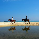Menyusuri Pantai Okinawa dengan Menunggangi Kuda