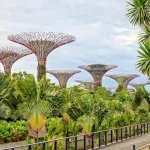 Menapa Semua Merekomendasikan Singapore Botanic Gardens? (Part 1)