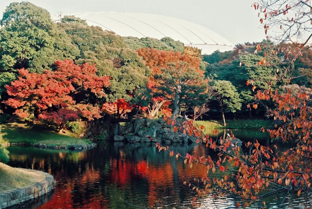 Taman cantik bisa dengan mudah dikunjungi oleh para wisatawan yang sedang berlibur di negeri Jepang. (Sumber: Japan Web Magazine)