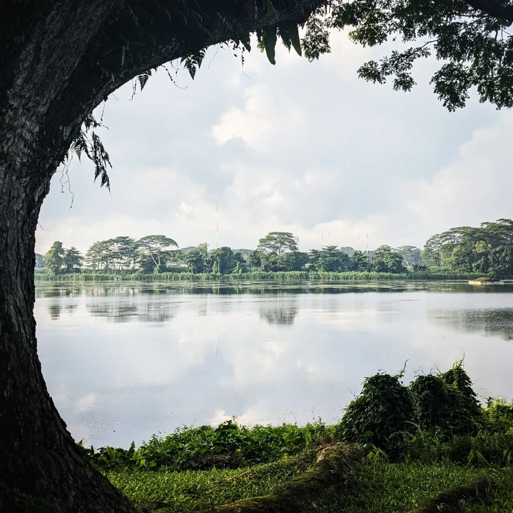 Sembawang Park jadi salah satu hidden gem yang menarik di kawasan Singapura. (Sumber: Lemon8)