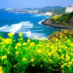 Tak Hanya Pantai, Ternyata Ada Pegunungan Di Pulau Jeju